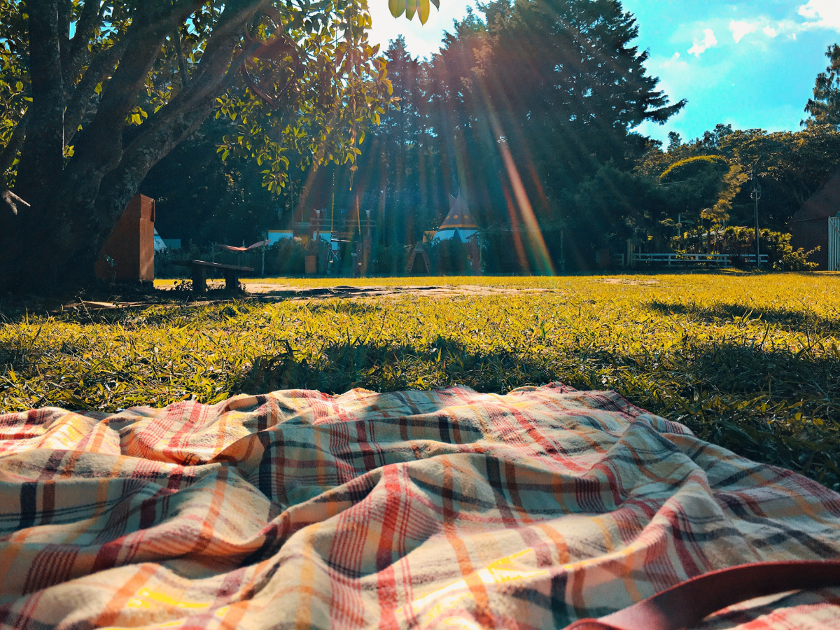 picnic